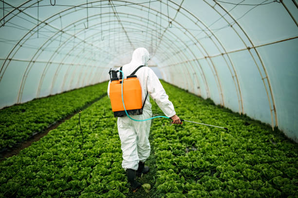 Best Affordable Pest Control Services  in Cresaptown, MD