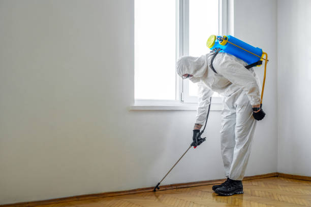 Best Residential Pest Control  in Cresaptown, MD