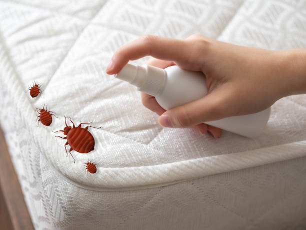 Best Exterminator Services  in Cresaptown, MD